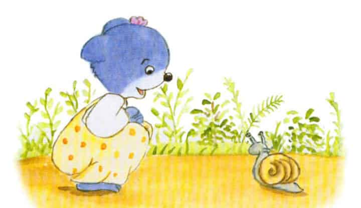 当一只蝴蝶飞过熊家