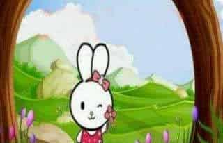 扎蝴蝶结的兔子