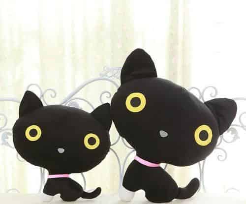 小黑猫送来的