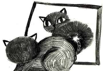 黑猫染发