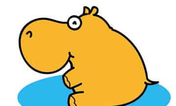 冷漠的河马先生