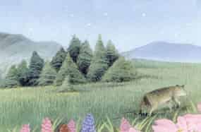 一个大喷嚏吓退了狼