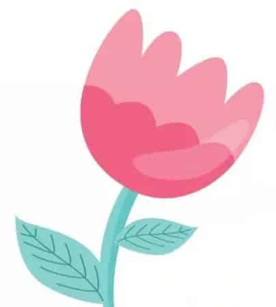 植物怎么变白了？