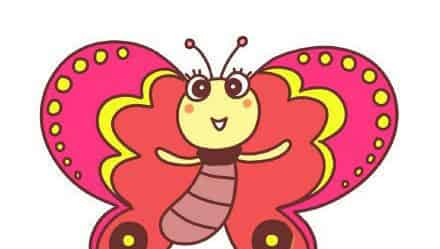 什么动物才是鸟