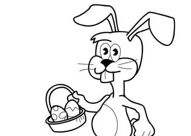 不懂装懂的灰兔