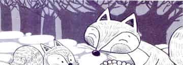 狐狸先生的松果