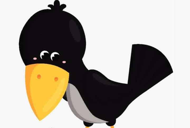 乌鸦先生的新巢 乌鸦先生的新巢