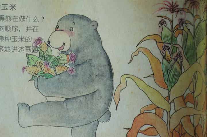 黑熊种玉米