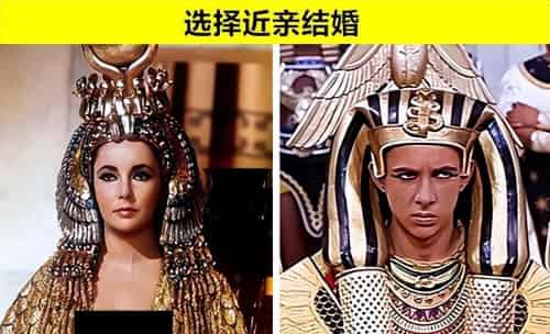 埃及法老以及埃及王室，为了保证血统，都有哪些传统？