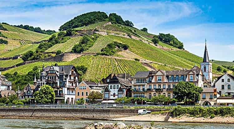 尖顶屋子里的艾艾猫和平顶屋子里的比比狗