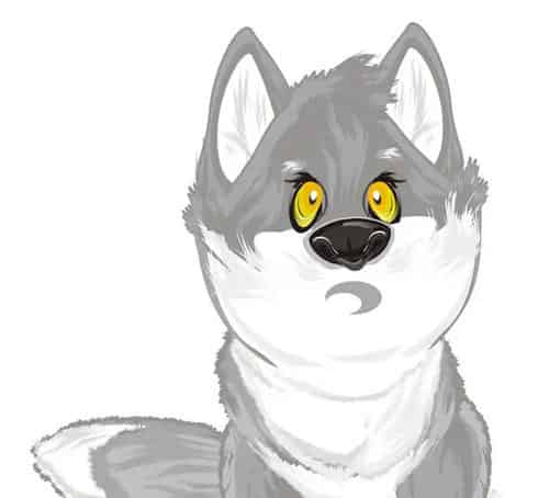 哭鼻子的灰小狼