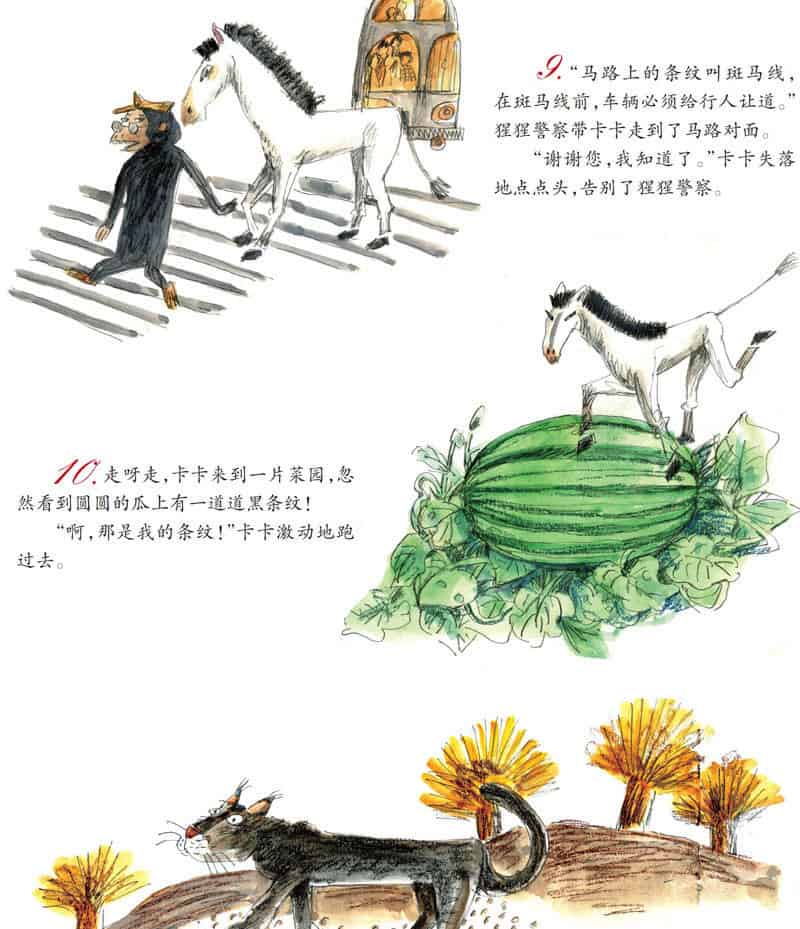 卡卡的条纹丢了