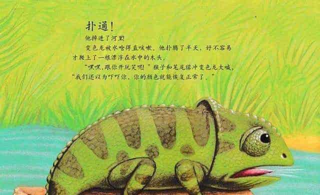 乱七八糟的变色龙