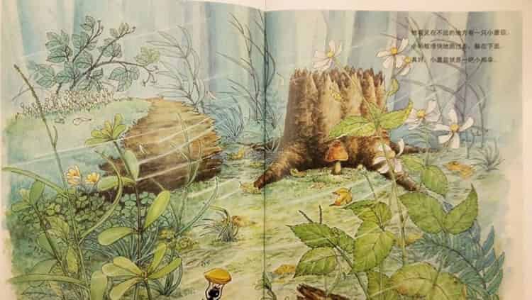 一个、两个、三个……蘑菇下躲雨