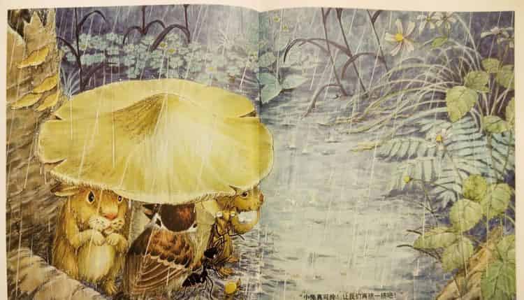 一个、两个、三个……蘑菇下躲雨