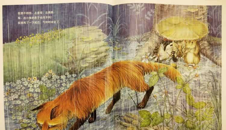 一个、两个、三个……蘑菇下躲雨