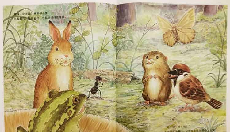 一个、两个、三个……蘑菇下躲雨