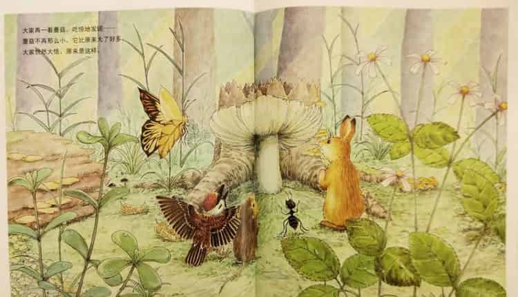 一个、两个、三个……蘑菇下躲雨