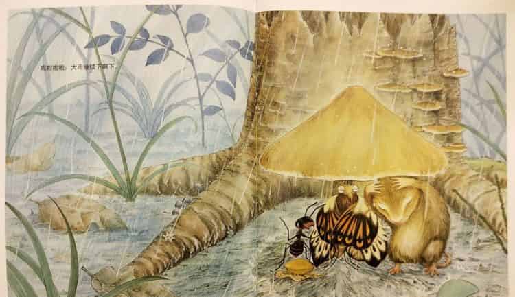 一个、两个、三个……蘑菇下躲雨