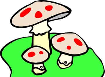 小刺猬的蘑菇伞 小刺猬的蘑菇伞