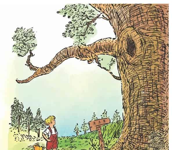 猫头鹰的新房子