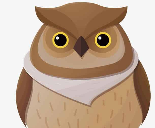 一棵很高很大的树