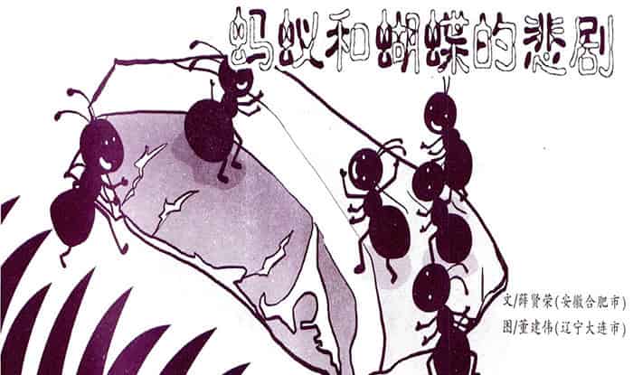 蚂蚁和蝴蝶的悲剧