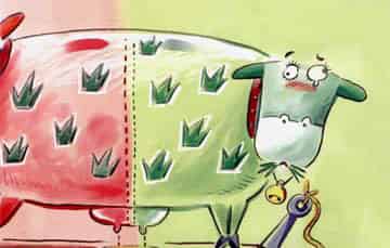 不吃苹果的苹果奶牛