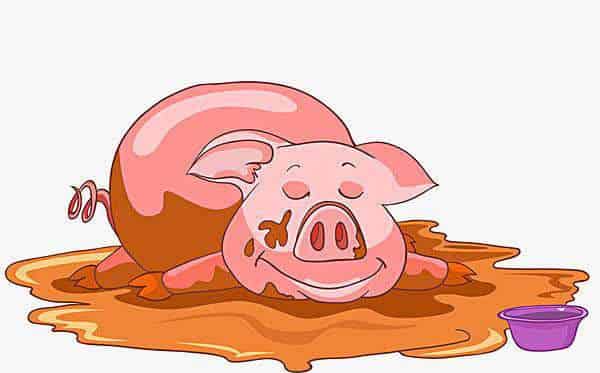 泥巴小猪