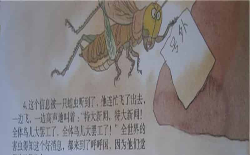 中班故事｜鸟类大罢工