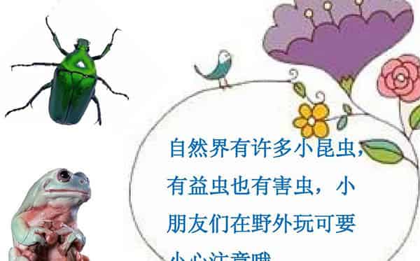 哪些虫子会蜇人