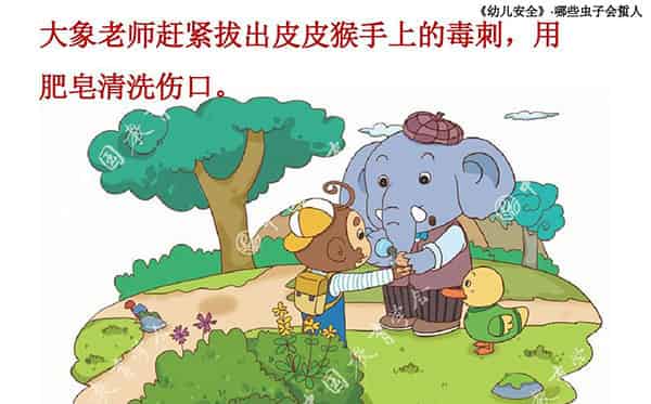 哪些虫子会蜇人