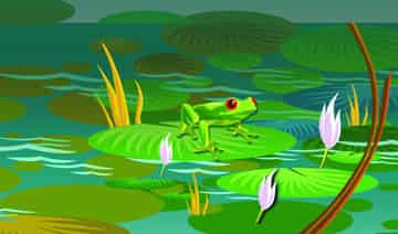 首先，要有一朵小白云