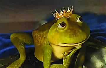 青蛙国王
