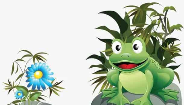 小青蛙的好日子 小青蛙的好日子