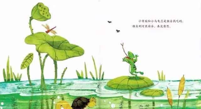 青蛙的乌龟朋友