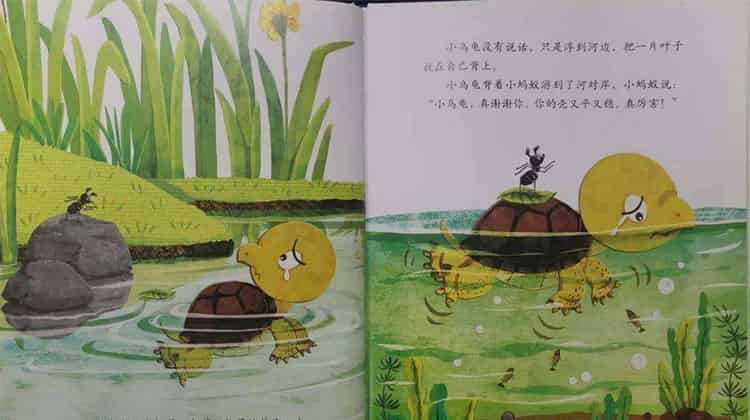 青蛙的乌龟朋友