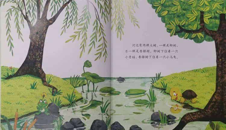 青蛙的乌龟朋友