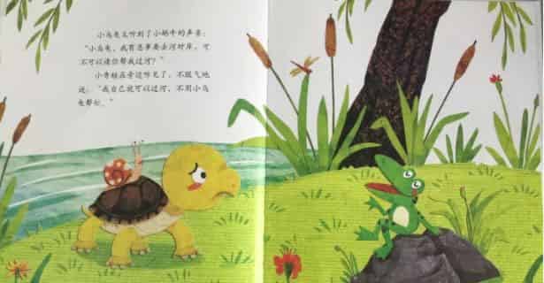 青蛙的乌龟朋友
