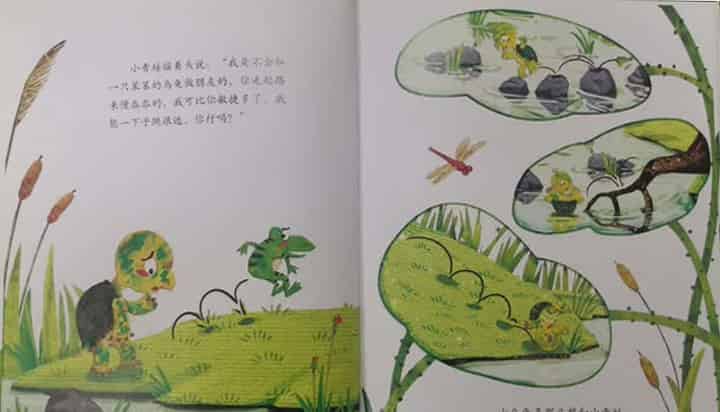 青蛙的乌龟朋友