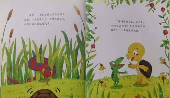 青蛙的乌龟朋友