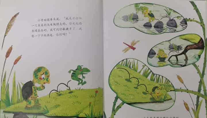 青蛙的乌龟朋友