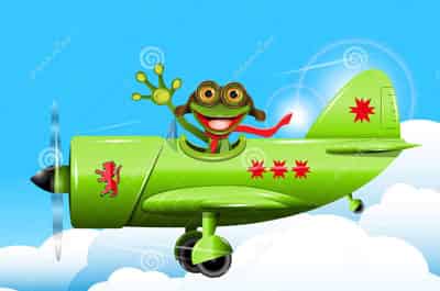 青蛙飞行员