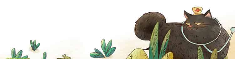 蔷薇花下的小壁虎