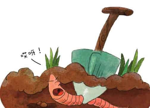 蚯蚓本领大