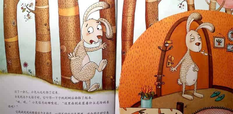 送给小熊的箱子