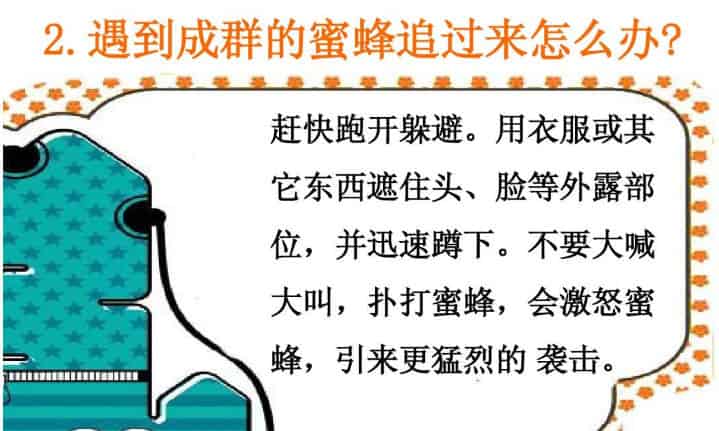 哪些虫子会蜇人