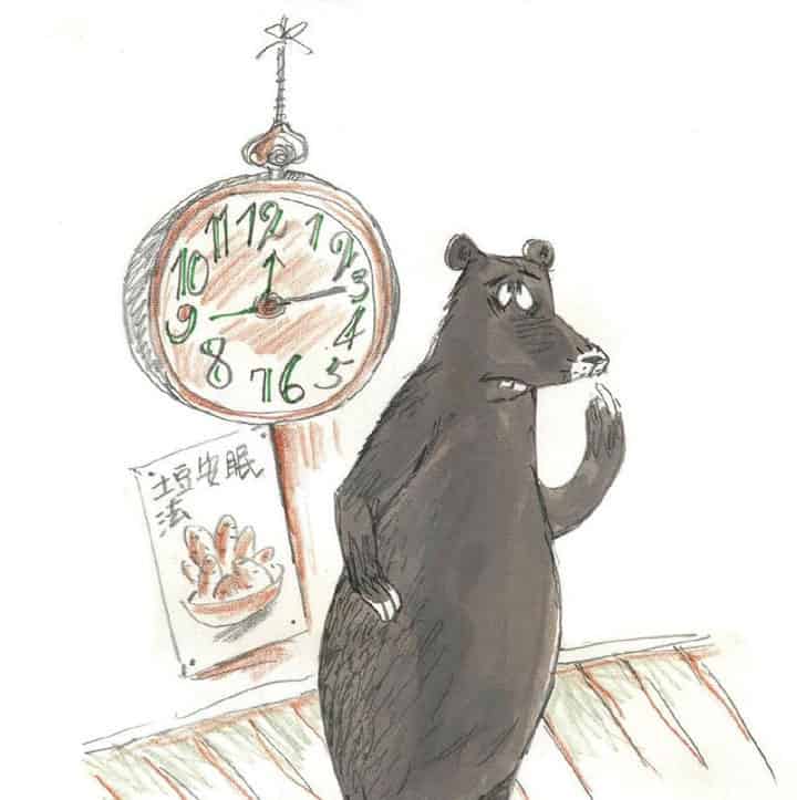 失眠的熊大叔