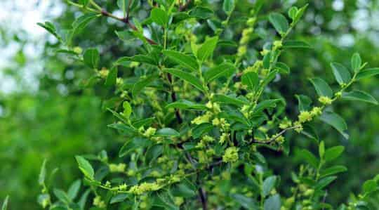 美滋滋和酸溜溜