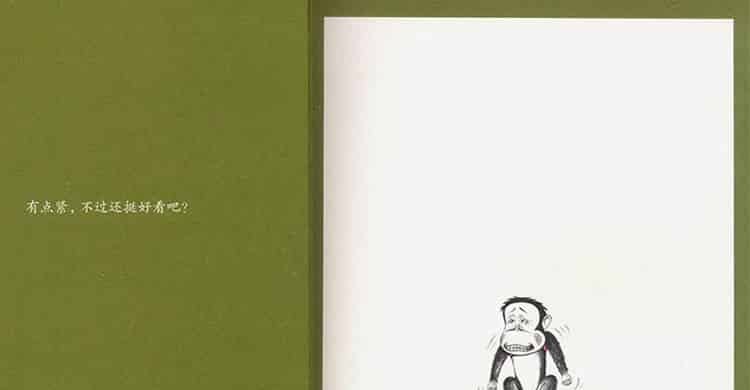 鼠小弟的小背心